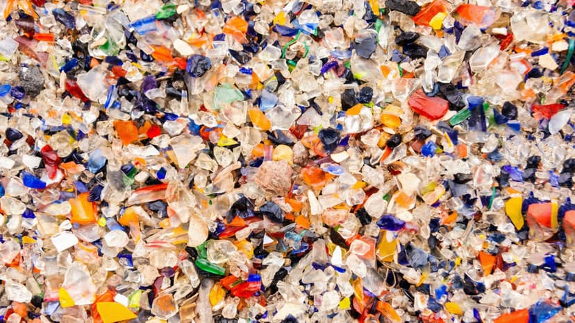 Microplastics Are In Your Body Right Now: What The Science Says
